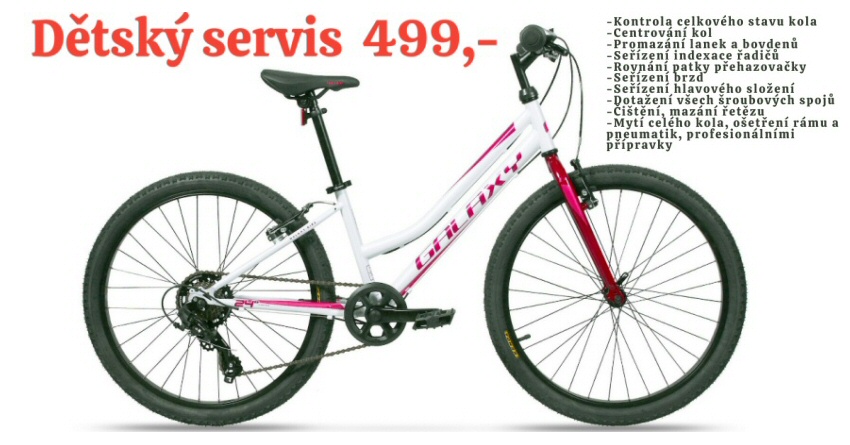 Malý servis - dětské kolo