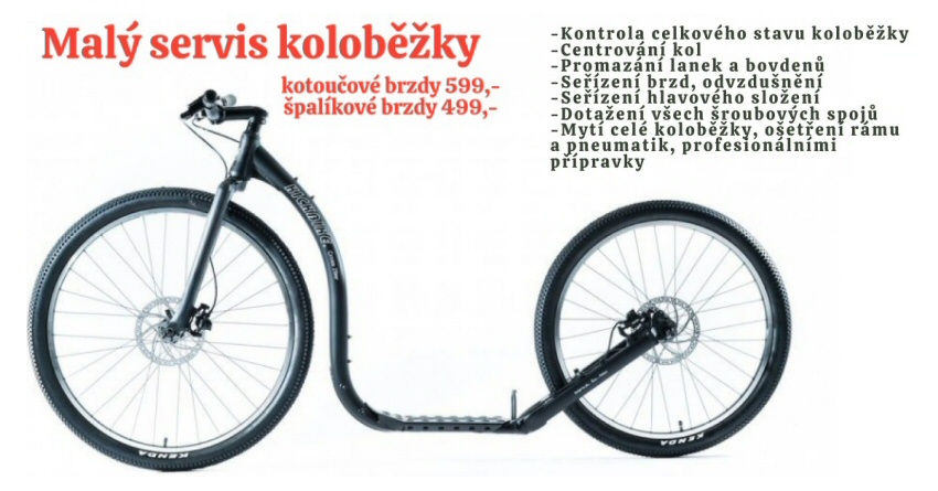 Malý servis - koloběžka